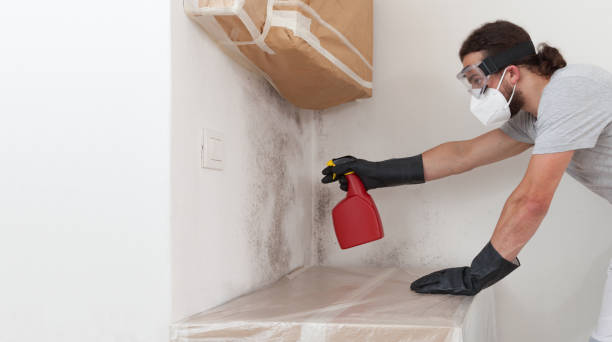 Professional Black Mold Remediation technician working in Alberta, VA